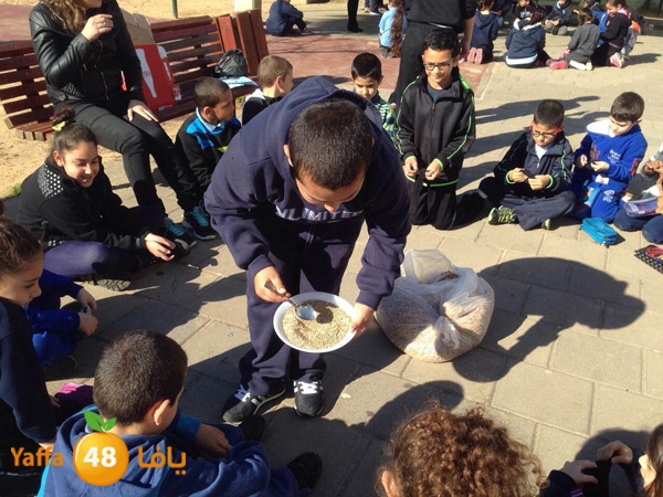 shajara okhowraj3 (20).JPG